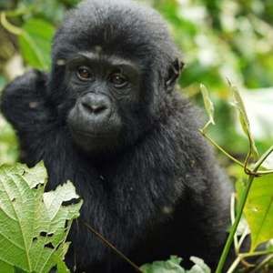 Meet your Posher, Jackie